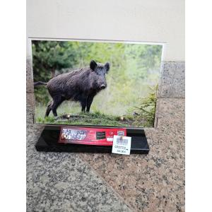 Plaque thème chasse