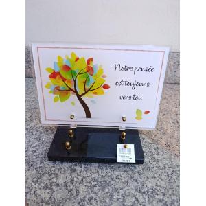 Plaque