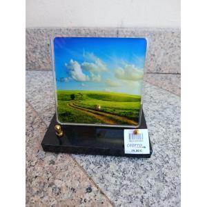 PLAQUE